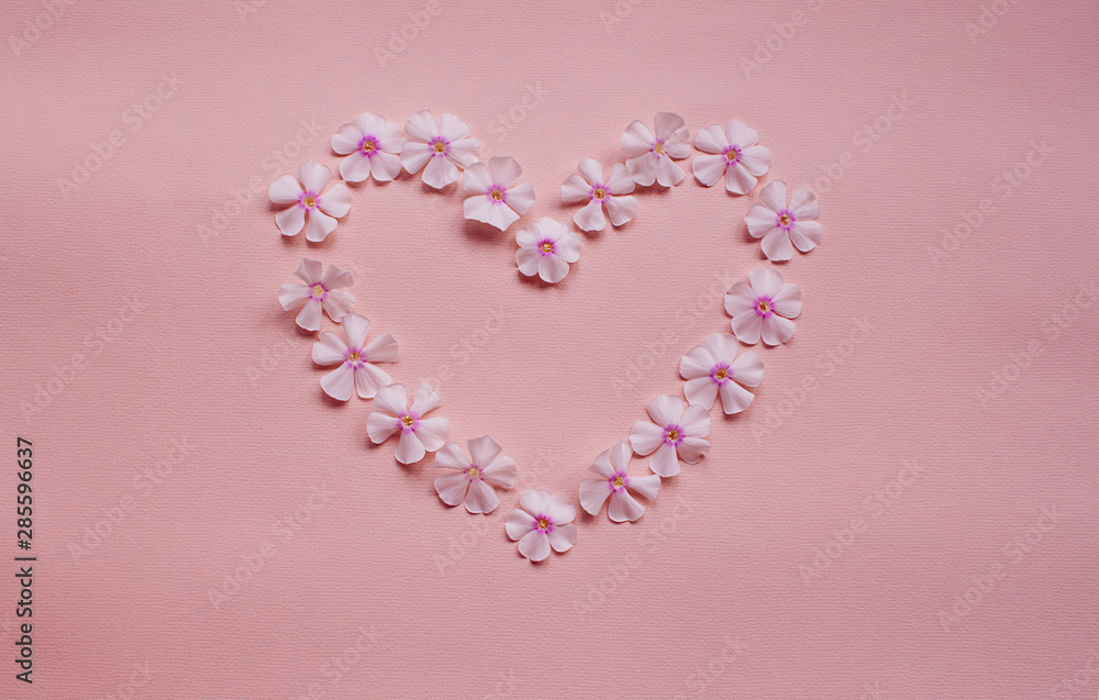 Heart shape frame of white flower on ligth background. Flat lay, top view.