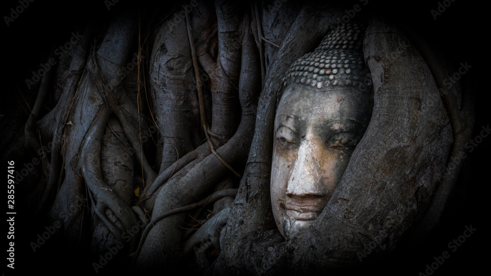 Ayutthaya - Thailand - Buddha statue in the tree Ayutthaya - Thailand - Buddha statue in the tree