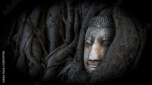 Ayutthaya - Thailand - Buddha statue in the tree