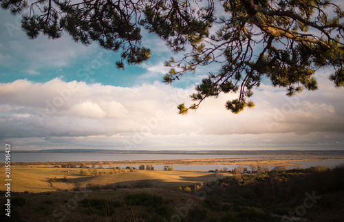 Hiddensee Dornbusch