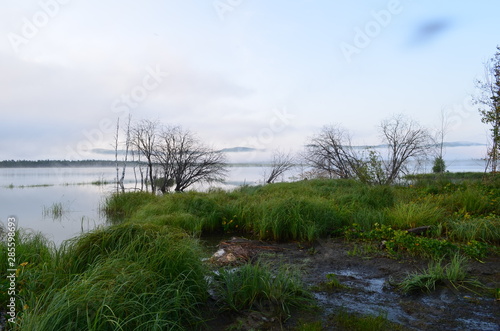 Morning fog over the lake.