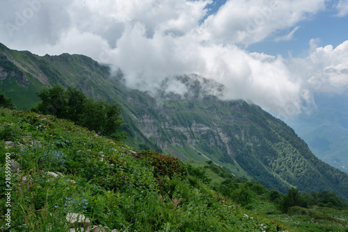 Wallpaper Mural Natural summer landscape with clouds and mountain on background. Torontodigital.ca