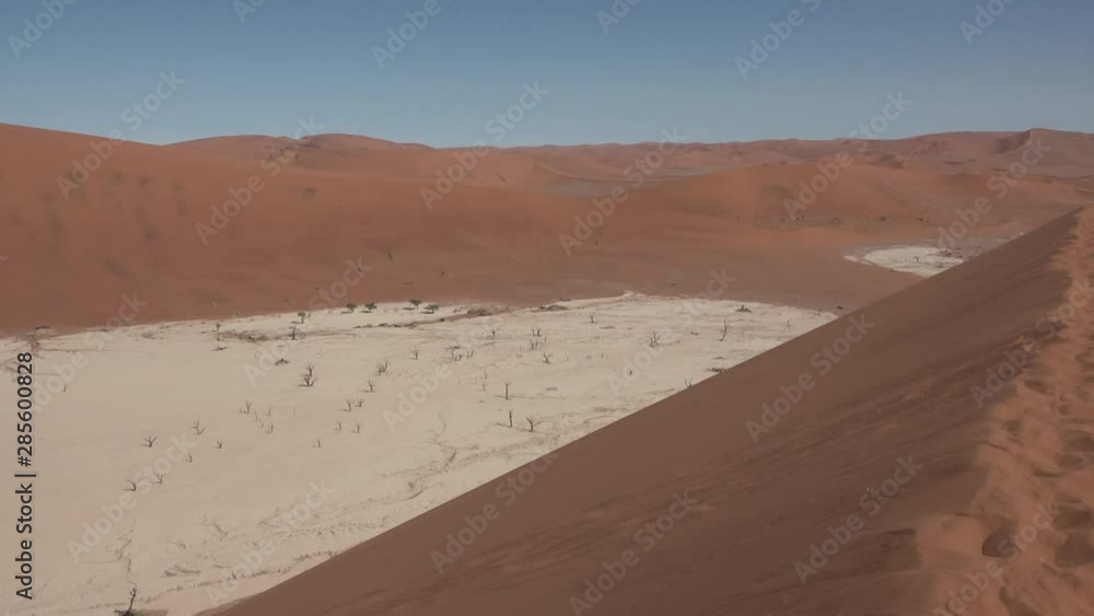 Dried acacia trees in a desert. Namibia. Sossusvley. Dried acacia trees in a desert. Namibia. Sossusvley.