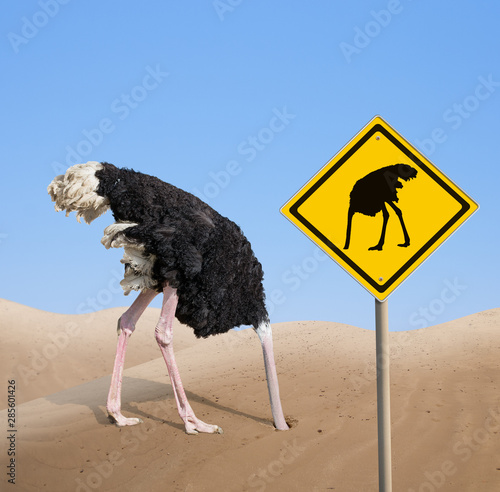 ostrich with head hidden in sand with warning traffic sign