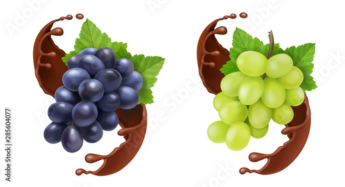 Red and white table grapes in chocolate splash 3d vector icon set