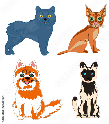 Vector illustration pets cat of the varied sorts