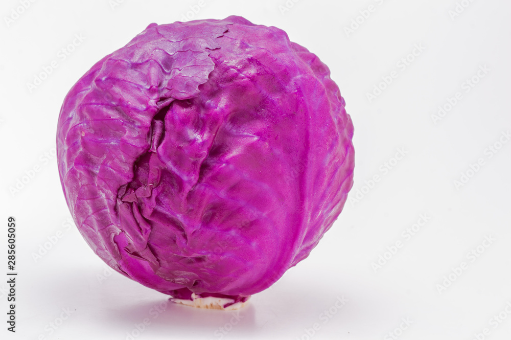 紫キャベツ 紫キャベツ