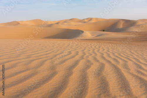 Arabska piaskowa pustynia
