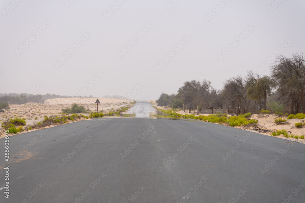 Straße durch die arabische Sandwüste