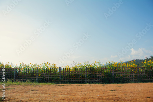 Schilderij op canvas Bamboo fences in rural areas.