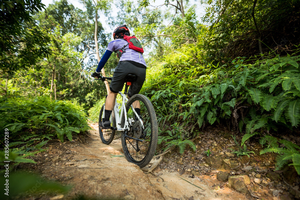 Cross country biking woman cyclist riding mountain bike on tropical rainforest trail