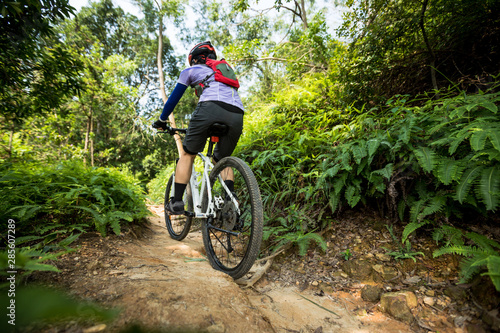 Cross country biking woman cyclist riding mountain bike on tropical rainforest trail