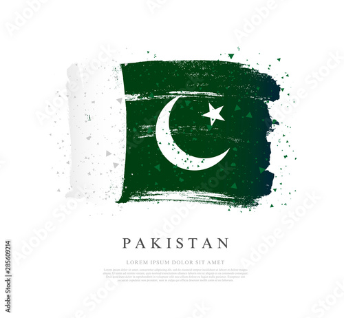 Flag of Pakistan. Brush strokes are drawn by hand.