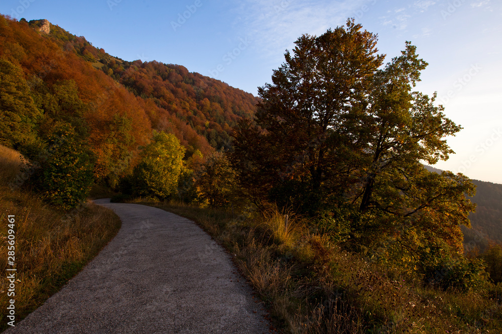 Carretera de montaña en otoño