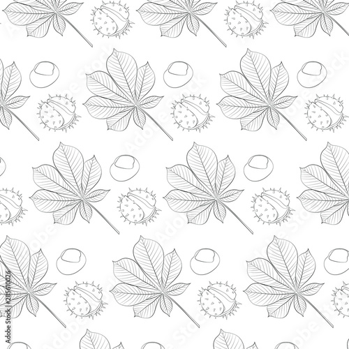 Hand drawn chestnut seamless pattern. Vector illustration  eps 10