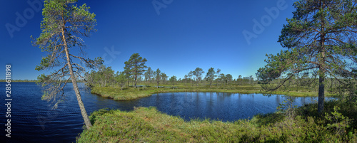 Small lake panorama on a hot summer day. Northern landscape from the Kauhaneva-Pohjankangas National park in Finland. © Teemu Tretjakov