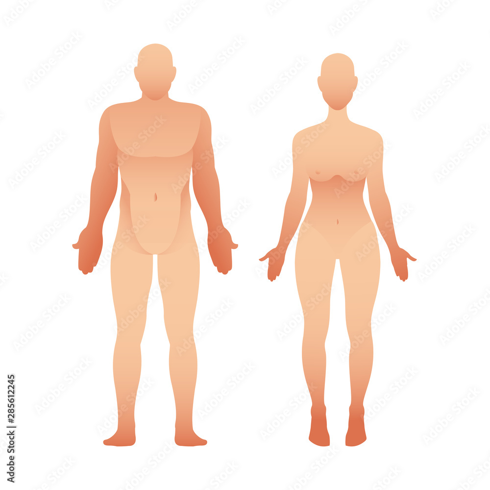 Silhouettes of man and woman front view. Vector human body Silhouettes of man and woman front view. Vector human body