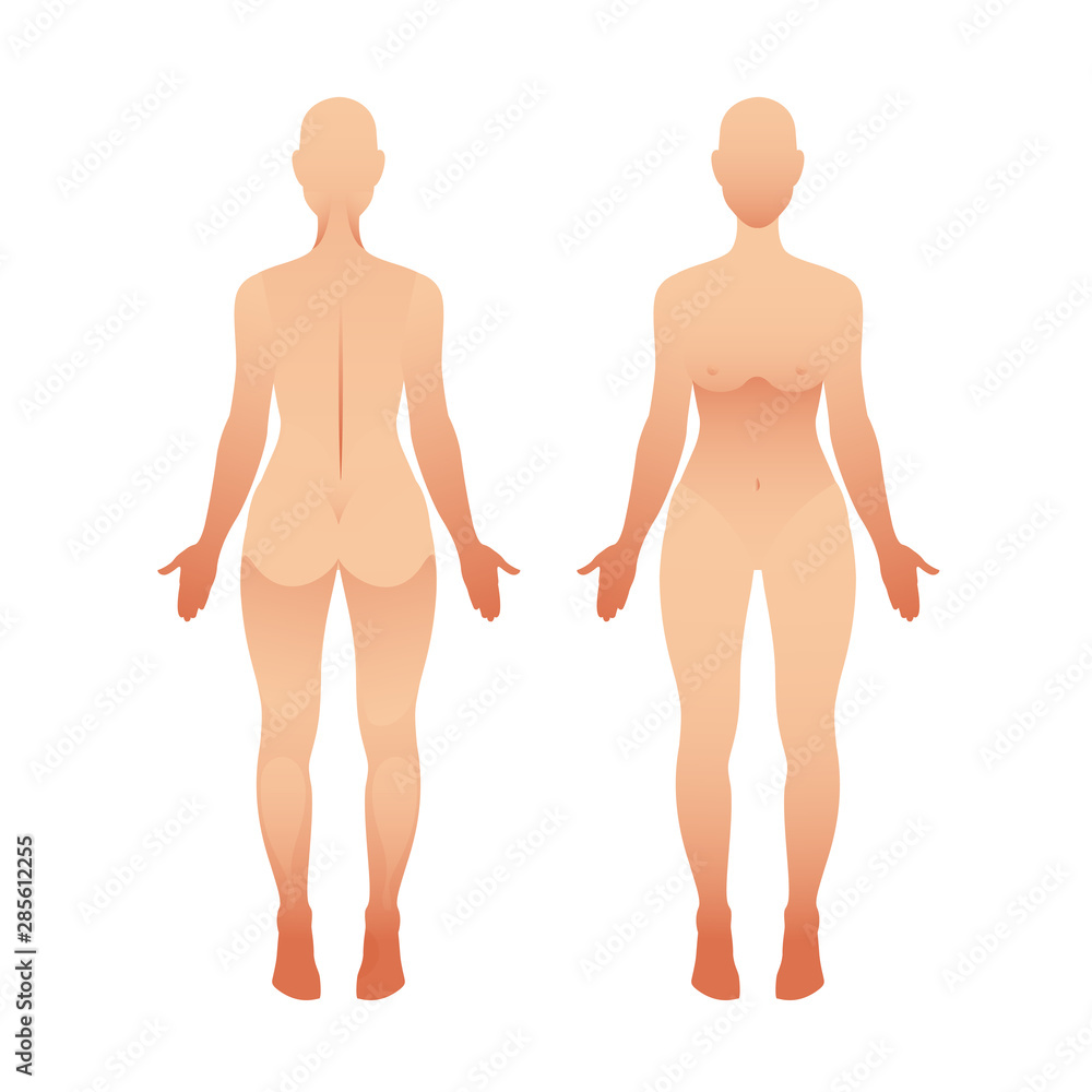 Silhouettes of woman front and back view. Vector female body Silhouettes of woman front and back view. Vector female body