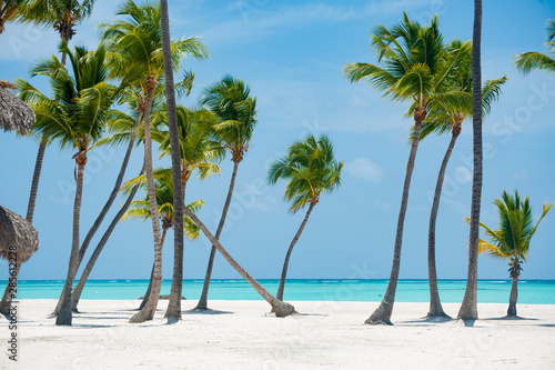 Scenery tropical paradise beach background on caribbean sea coast