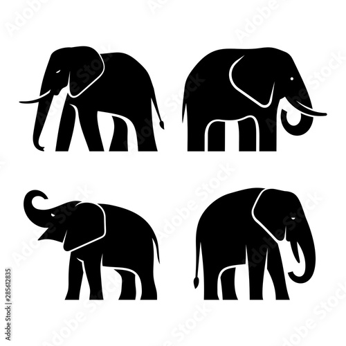 Set of Elephant logo. Icon design. Template elements photo