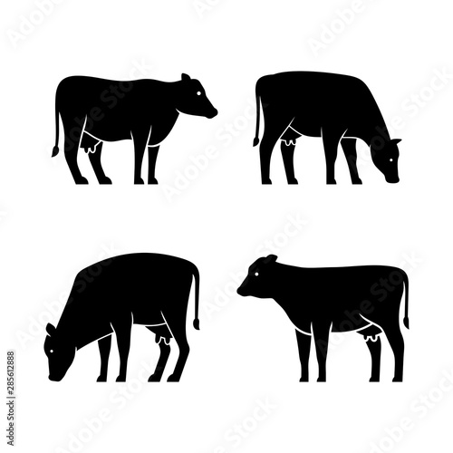 Set of Cow logo. Icon design. Template elements