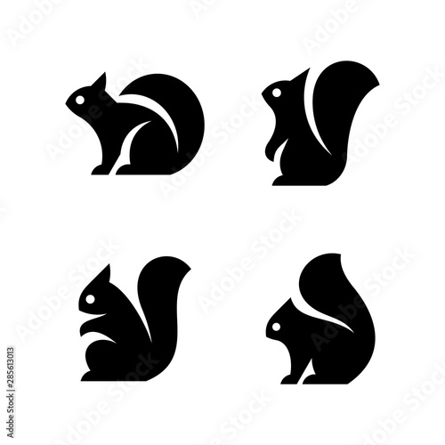 Set of Squirrel Logo. Icon design. Template elements