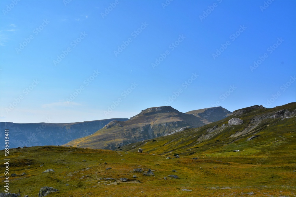 alpine pasture on the Bucegi mountains