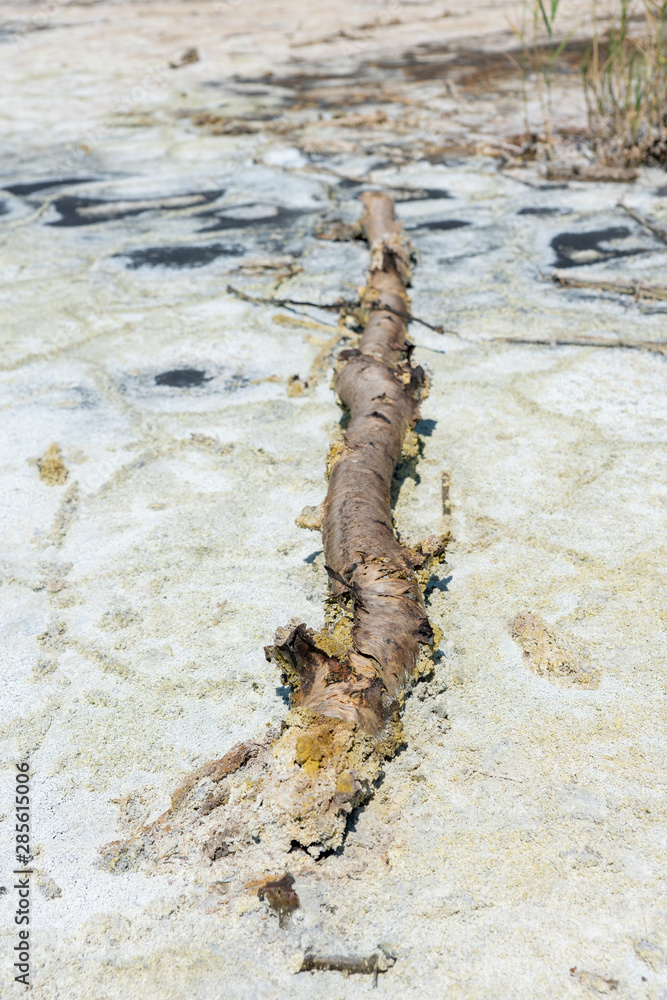 Naturreservat Soos Stock Photo Adobe Stock
