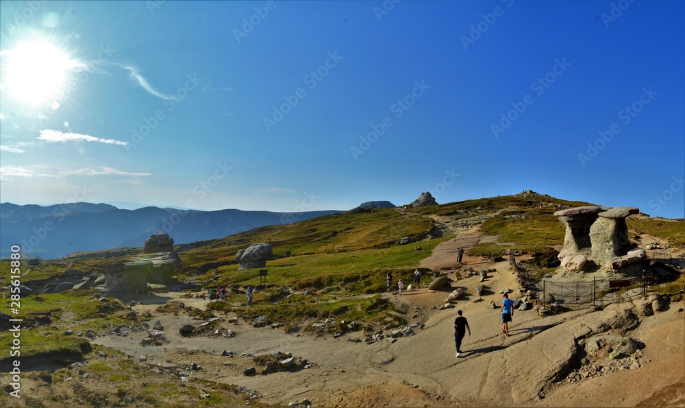 summer landscape of the Carpathian mountains summer landscape of the Carpathian mountains