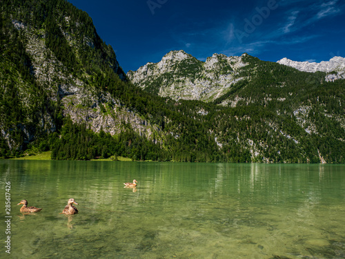 Fototapeta Naklejka Na Ścianę i Meble -  The Königssee as a quite place for hiking and relaxing and to enjoy nature in Germany