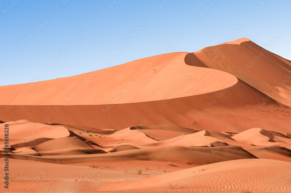 Sand dunes in the desert of Oman