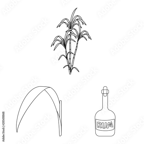 Isolated object of sugar and field logo. Set of sugar and plantation vector icon for stock.