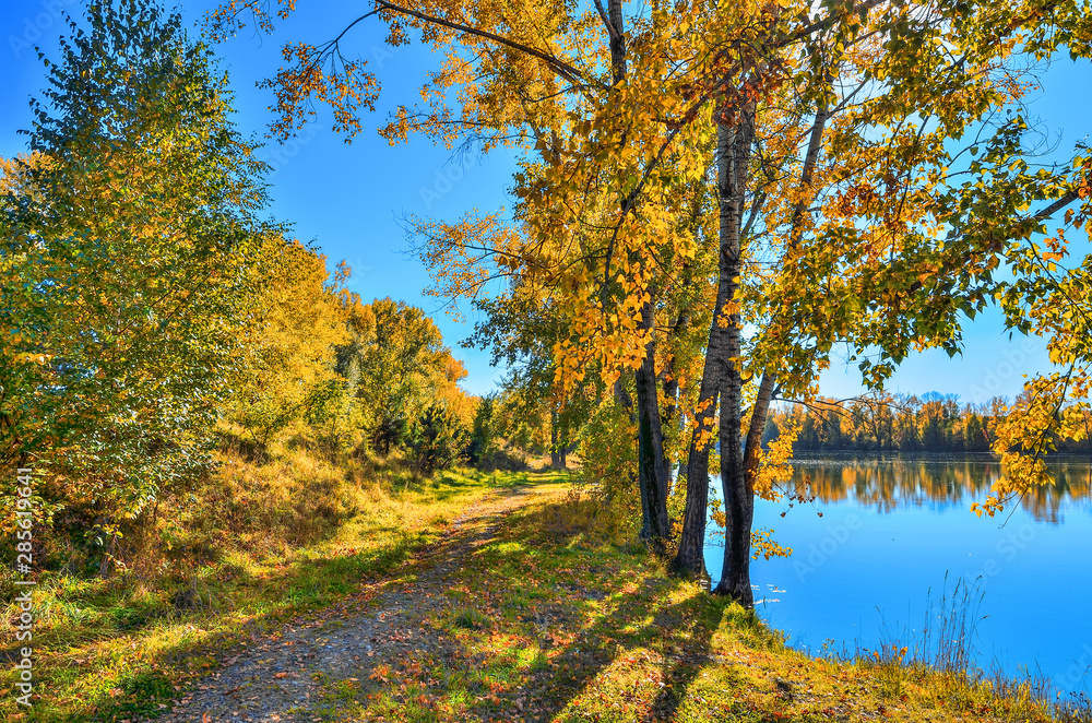 Golden autumn on lakeside - picturesque fall landscape near lake
