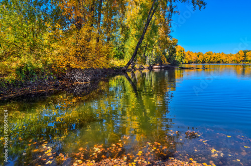 Golden autumn on lakeside - picturesque fall landscape near lake