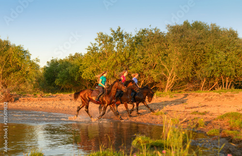 Three joyful horsewoman are astride their bay horses on the riverbank in summer.