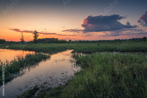 Obraz na płótnie Sunset over the Bzura river near Kamion, Masovia, Poland w salonie