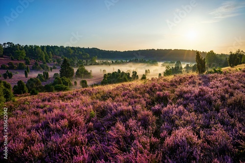 Sonnenaufgang am Totengrund in der Lüneburger Heide