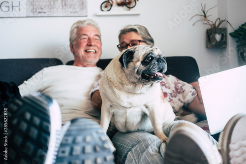 Close up of dog pug portrait at home with cheerful couple of senior old people in backgorund sitting on the sofa - family people and animal therapy and best friend concept