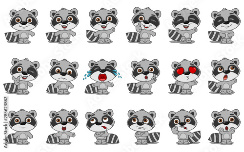 Big set of funny raccoon in cartoon style in different standing poses and emotions isolated on white background