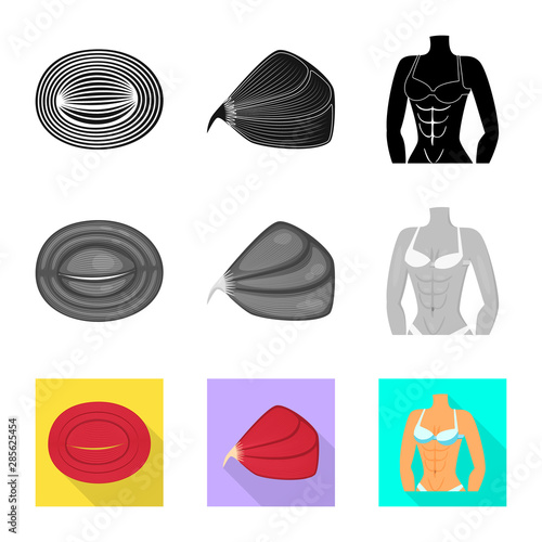 Isolated object of fiber and muscular logo. Set of fiber and body vector icon for stock.