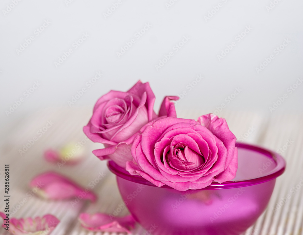 Fototapeta premium Pink Roses In A Pink Bowl