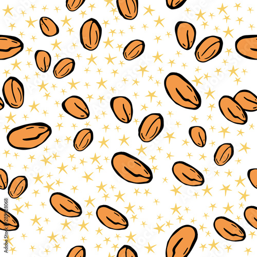 Seamless pattern with peanut. Peanuts seamless pattern, vector pattern.