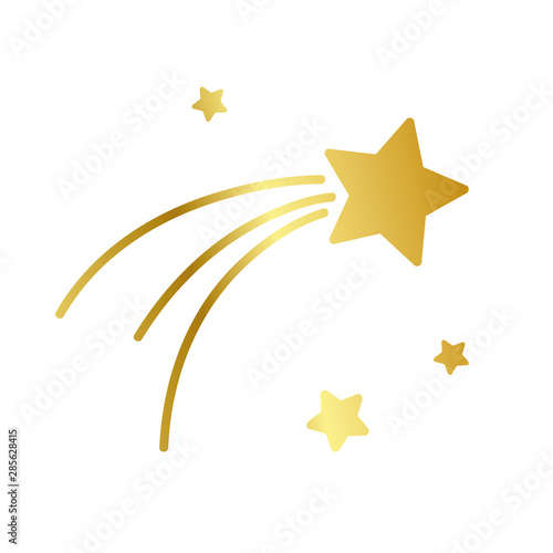 golden christmas fallig star icon isolated on white background vector illustration EPS10