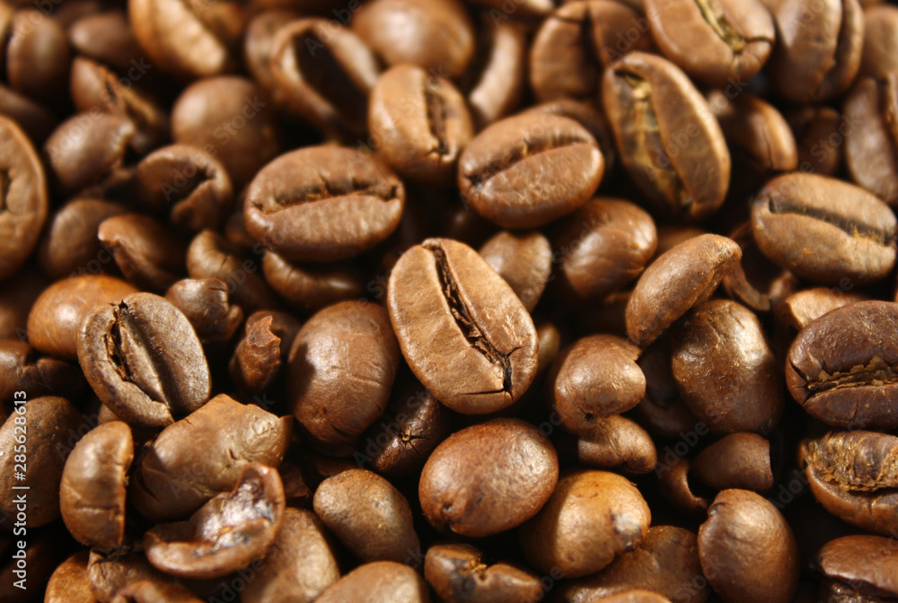 Naklejka premium Ziarna kawy