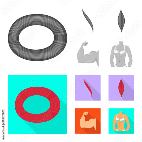 Isolated object of fiber and muscular symbol. Set of fiber and body vector icon for stock.