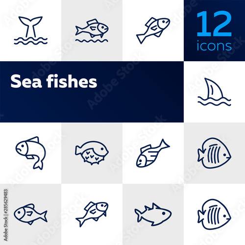 Sea fishes icon set. Seaanimal concept. Vector illustration can be used for topics like seafood, cuisine, cooking photo