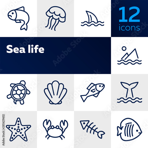 Sea life line icon set. Fish, shark, turtle. Wildlife concept. Can be used for topics like seafood, ecology, fishing