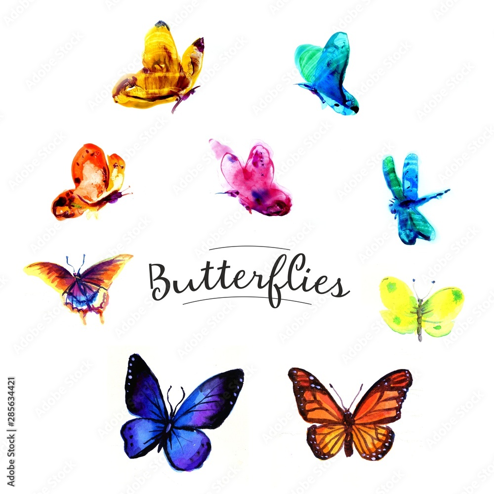 Drawing butterflies watercolor
