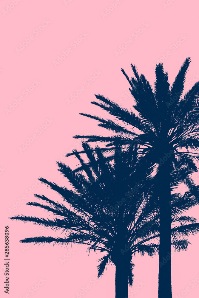 Tropical Vacation Background With Silhouetted Palm Trees With Pink Background Copy Space - obrazy, fototapety, plakaty 