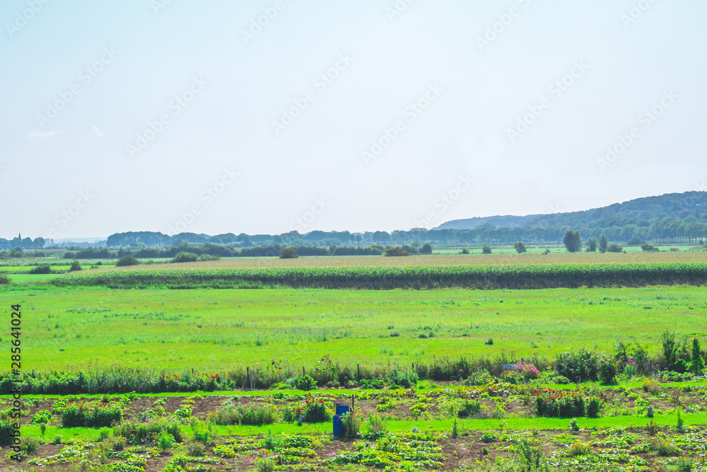 Typical attractive dutch landscape